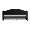 Baxton Studio Mansi Modern and Contemporary Grey Velvet Fabric Upholstered Twin Size 2Drawer Daybed 219-12355-ZORO